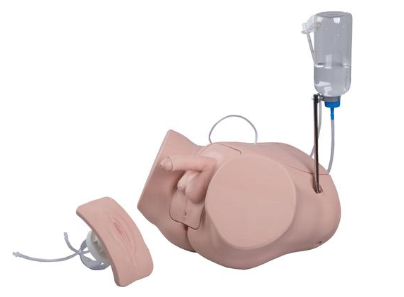 Catheterization Simulator PRO - Dual Sex - 3B